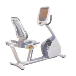 Recumbent Bike P80